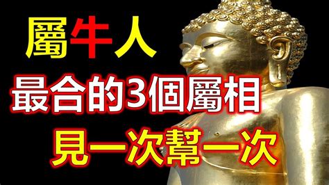 屬牛三合貴人|【屬牛三合貴人】屬牛三合貴人：打造事業與好運的生肖絕配